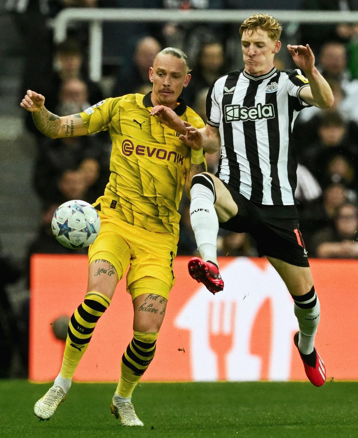 Prediksi Borussia Dortmund vs Newcastle : Susunan Pemain, H2H, dan Info Skuad