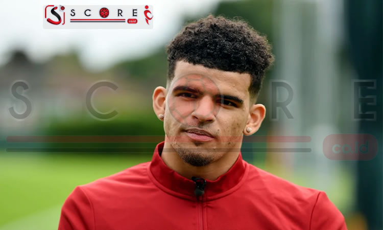 Kekuatan Dominic Solanke Sang Pengganti Harry Kane SCORE.CO.ID