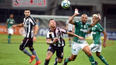 Prediksi Skor Botafogo RJ vs Palmeiras: CONMEBOL Copa Libertadores 2024