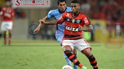 Prediksi Skor Flamengo vs Bolivar : Laga CONMEBOL Copa Libertadores 2024/2025