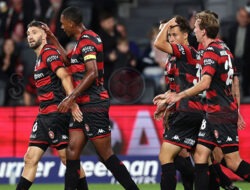 Prediksi Skor Queensland Lions vs Western Sydney Wanderers: Piala Australia 2024