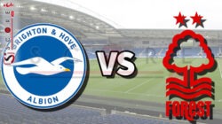 Prediksi Skor Brighton vs Nottingham