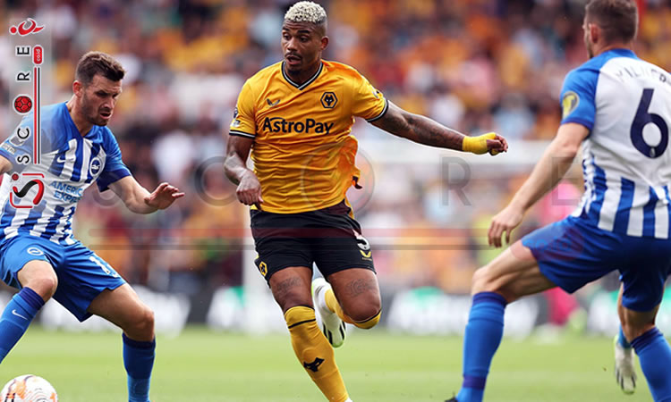 Prediksi Skor Brighton vs Wolverhampton