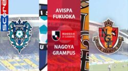 Prediksi Skor Avispa Fukuoka vs Nagoya Grampus