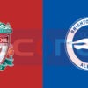 Prediksi Skor Liverpool vs Brighton: EPL 2024/25 Matchday 10