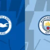 Prediksi Brighton vs Manchester City 10 November 2024