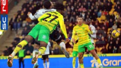 Prediksi Skor Sheffield vs Norwich: EFL Championship Match 14