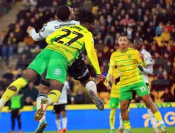 Prediksi Skor Sheffield vs Norwich: EFL Championship Match 14