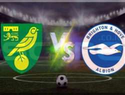 Prediksi Skor Norwich City vs Brighton & Hove Albion: 11 Januari 2025