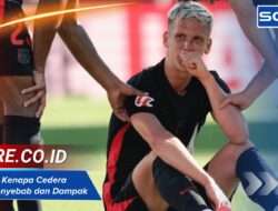 Dani Olmo Kenapa Cedera Analisis Penyebab dan Dampak pada Timnya
