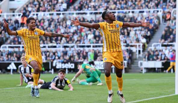 Data performa Newcastle vs Brighton dan prediksi akurat.