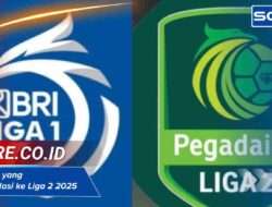 Tim Liga 1 yang Terdegradasi ke Liga 2 2025, Siapa Saja?