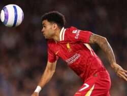 Update Terkini Proses Transfer Luiz Diaz, Tembus 70 Juta Euro?