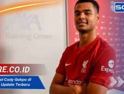 Jumlah gol Cody Gakpo di Liverpool Update Terbaru 2025