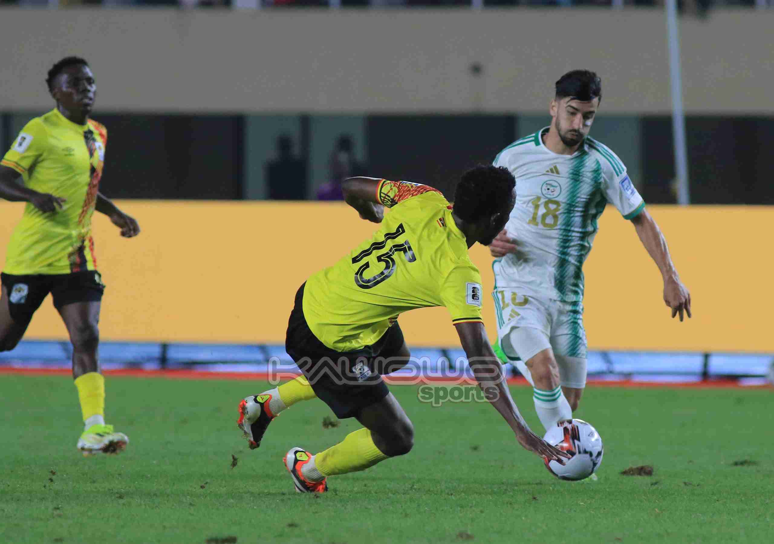 Prediksi Skor Uganda vs Aljazair