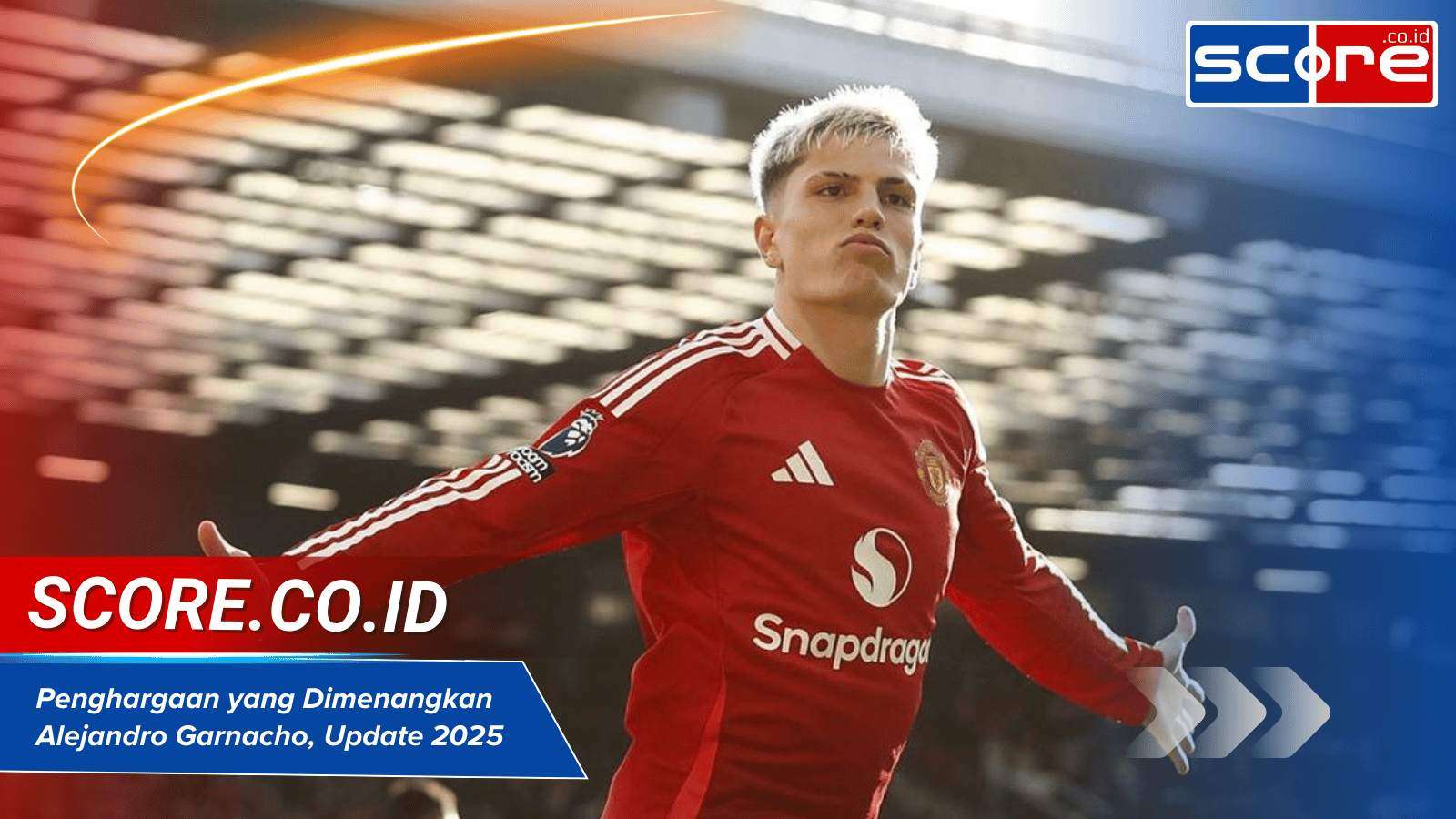 penghargaan yang dimenangkan alejandro