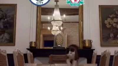 Prediksi Skor Manchester City vs Liverpool Jadi Big Match Pekan ke-11