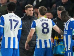 Prediksi Skor Brighton vs Sunderland 20 Desember 2025: Adu Taktik si Kuda Hitam